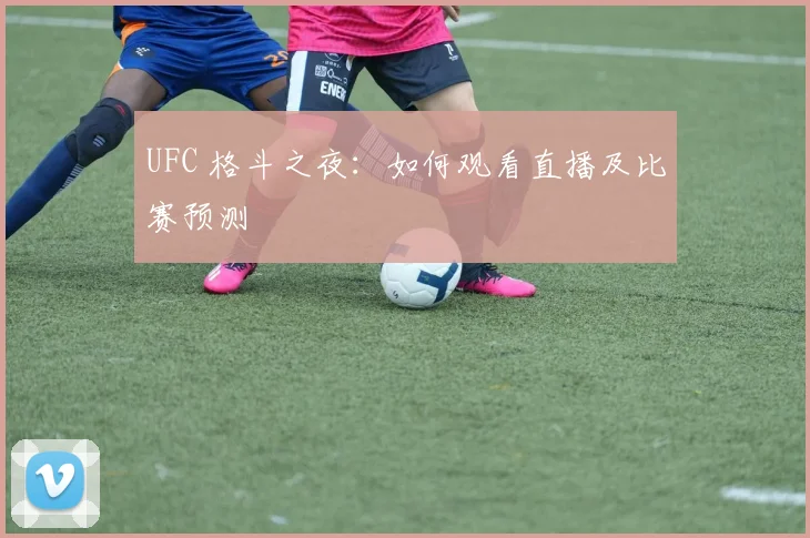 UFC 格斗之夜：如何观看直播及比赛预测